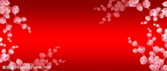 汉诺威医学院设计学位证
